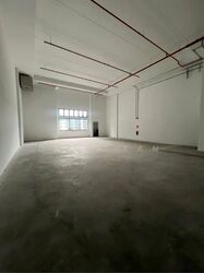Ct Foodnex (D25), Factory #606968591